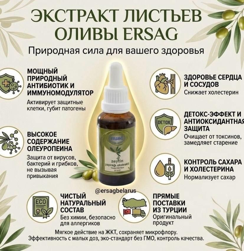 Экстракт оливковых листьев