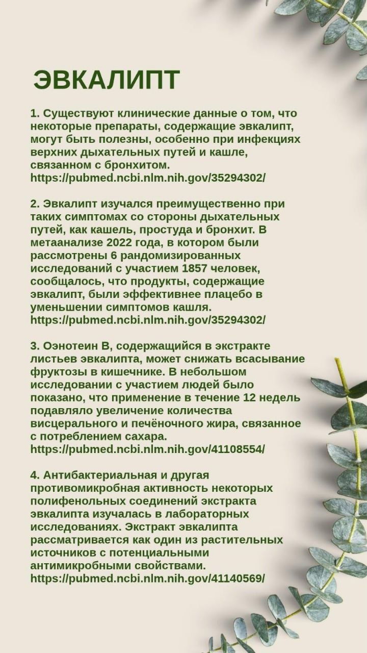 Эвкалипт капсулы