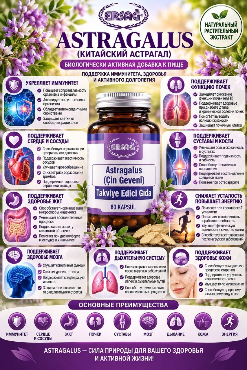 Астрагал (ASTRAGALUS)